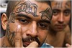 Mara Salvatrucha gang member