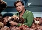 The Trouble With Tribbles