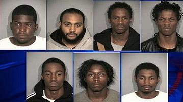 7 black feral hood rat killers