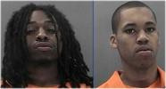 Christopher D. Johnson and Duane E. Labrew